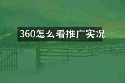360怎么看推广实况