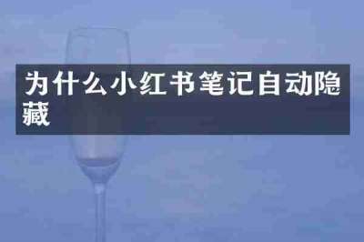 为什么小红书笔记自动隐藏