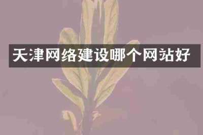 天津网络建设哪个网站好