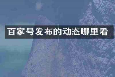 百家号发布的动态哪里看