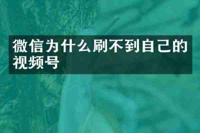 微信为什么刷不到自己的视频号