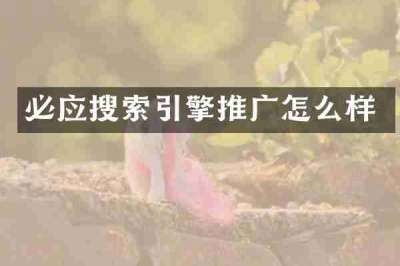 必应搜索引擎推广怎么样