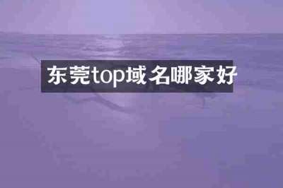 东莞top域名哪家好
