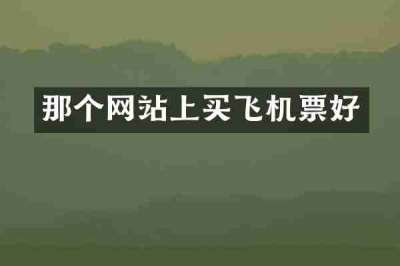 那个网站上买飞机票好