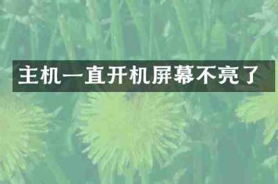 主机一直开机屏幕不亮了