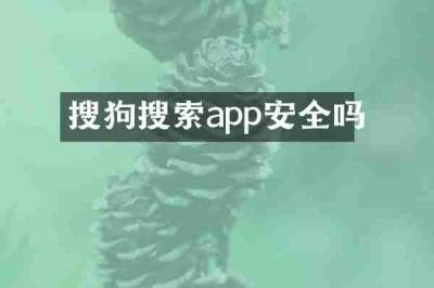 搜狗搜索app安全吗