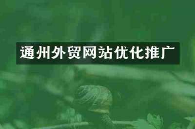 通州外贸网站优化推广