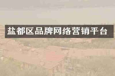 盐都区品牌网络营销平台
