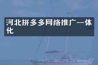 河北拼多多网络推广一体化