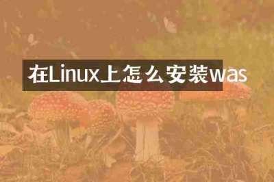 在Linux上怎么安装was