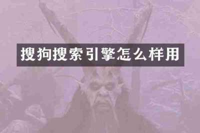 搜狗搜索引擎怎么样用