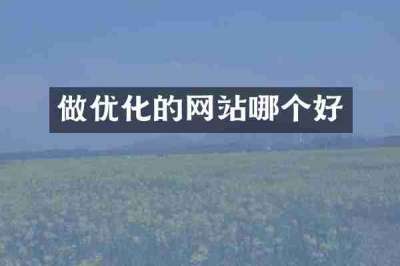 做优化的网站哪个好