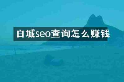 白城seo查询怎么赚钱