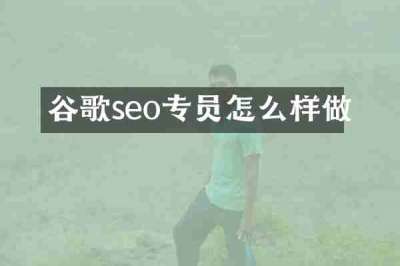 谷歌seo专员怎么样做