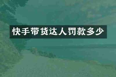 快手带货达人罚款多少