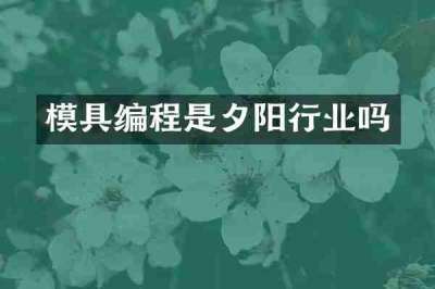 模具编程是夕阳行业吗