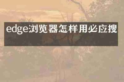 edge浏览器怎样用必应搜索