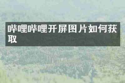 哔哩哔哩开屏图片如何获取
