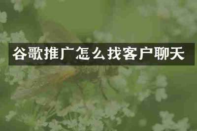 谷歌推广怎么找客户聊天