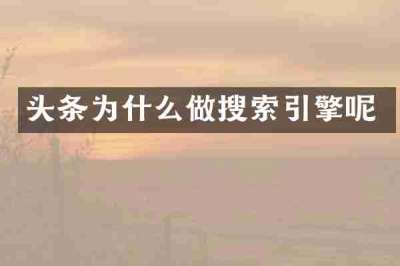头条为什么做搜索引擎呢