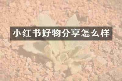 小红书好物分享怎么样