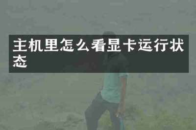 主机里怎么看显卡运行状态