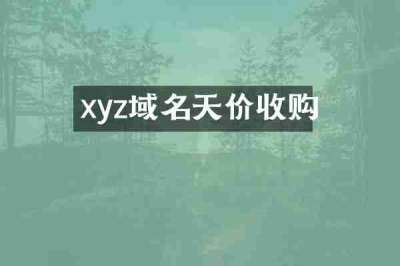 xyz域名天价收购