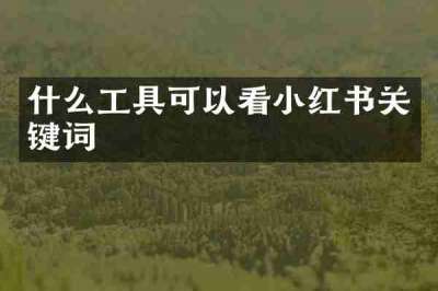 什么工具可以看小红书关键词