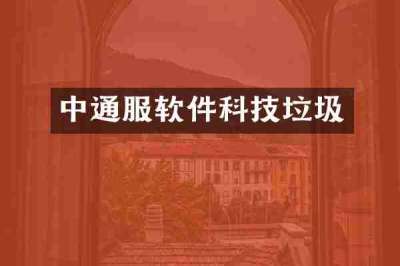 中通服软件科技垃圾