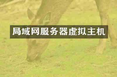 局域网服务器虚拟主机