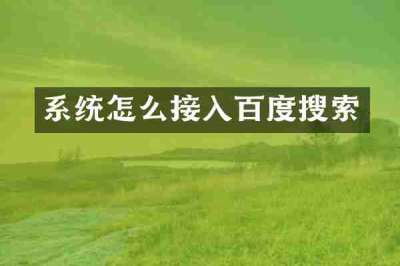 系统怎么接入百度搜索