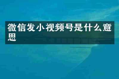 微信发小视频号是什么意思