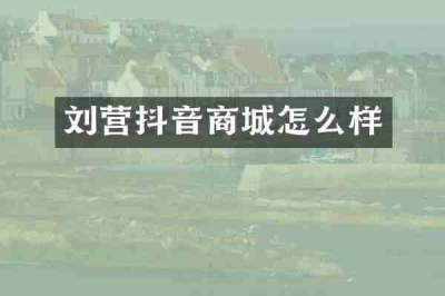 刘营抖音商城怎么样