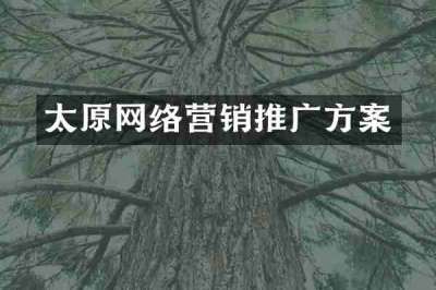 太原网络营销推广方案