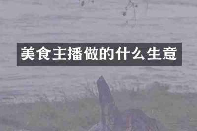 美食主播做的什么生意