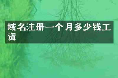 域名注册一个月多少钱工资
