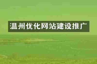 温州优化网站建设推广