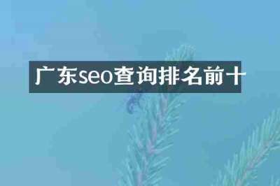 广东seo查询排名前十