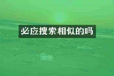 必应搜索相似的吗