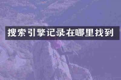 搜索引擎记录在哪里找到