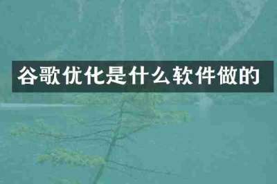 谷歌优化是什么软件做的