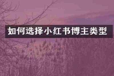 如何选择小红书博主类型