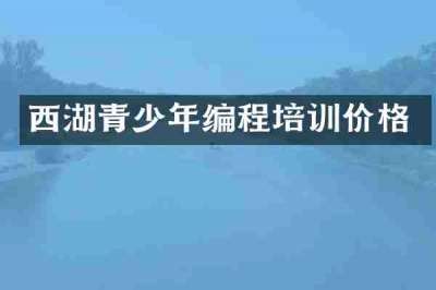 西湖青少年编程培训价格