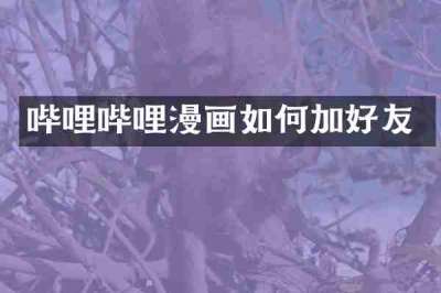 哔哩哔哩漫画如何加好友