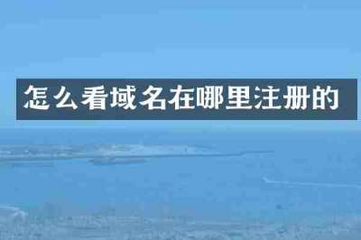 怎么看域名在哪里注册的