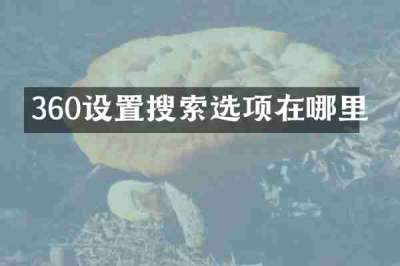 360设置搜索选项在哪里