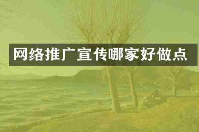 网络推广宣传哪家好做点