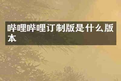 哔哩哔哩订制版是什么版本