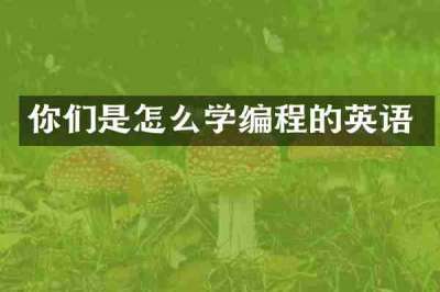 你们是怎么学编程的英语