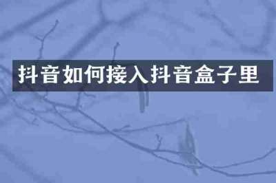 抖音如何接入抖音盒子里